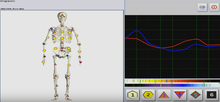 Load image into Gallery viewer, Health Coaching with NLS Matrix Decoder
