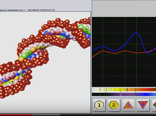 Load image into Gallery viewer, Health Coaching with NLS Matrix Decoder
